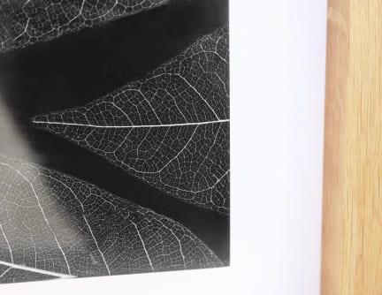 Tableau 25cm résine epoxy inclusion squelettes feuilles blanches naturelles cadre en chêne